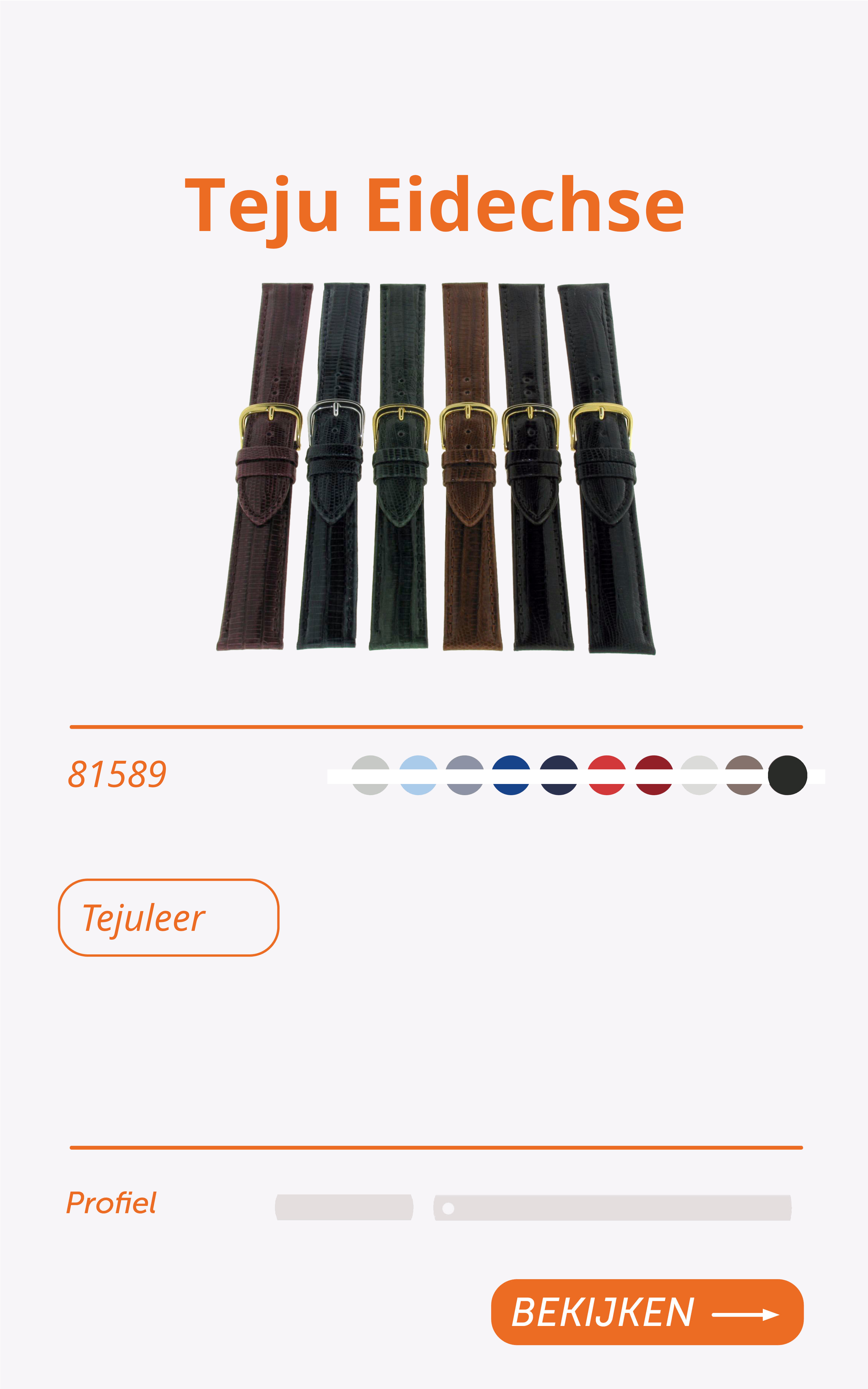 81589-Teju-Eidechse