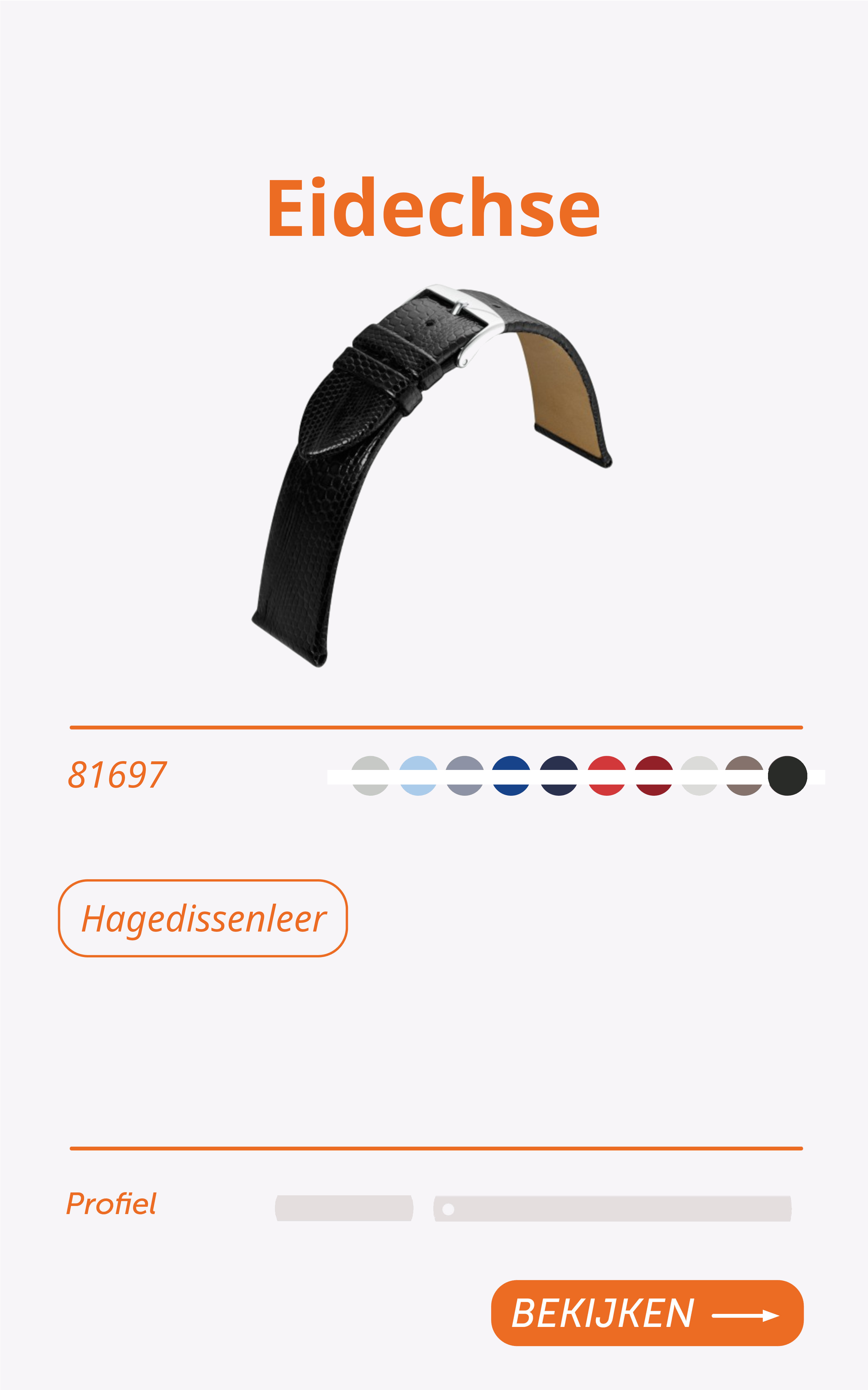 81697-Eidechse