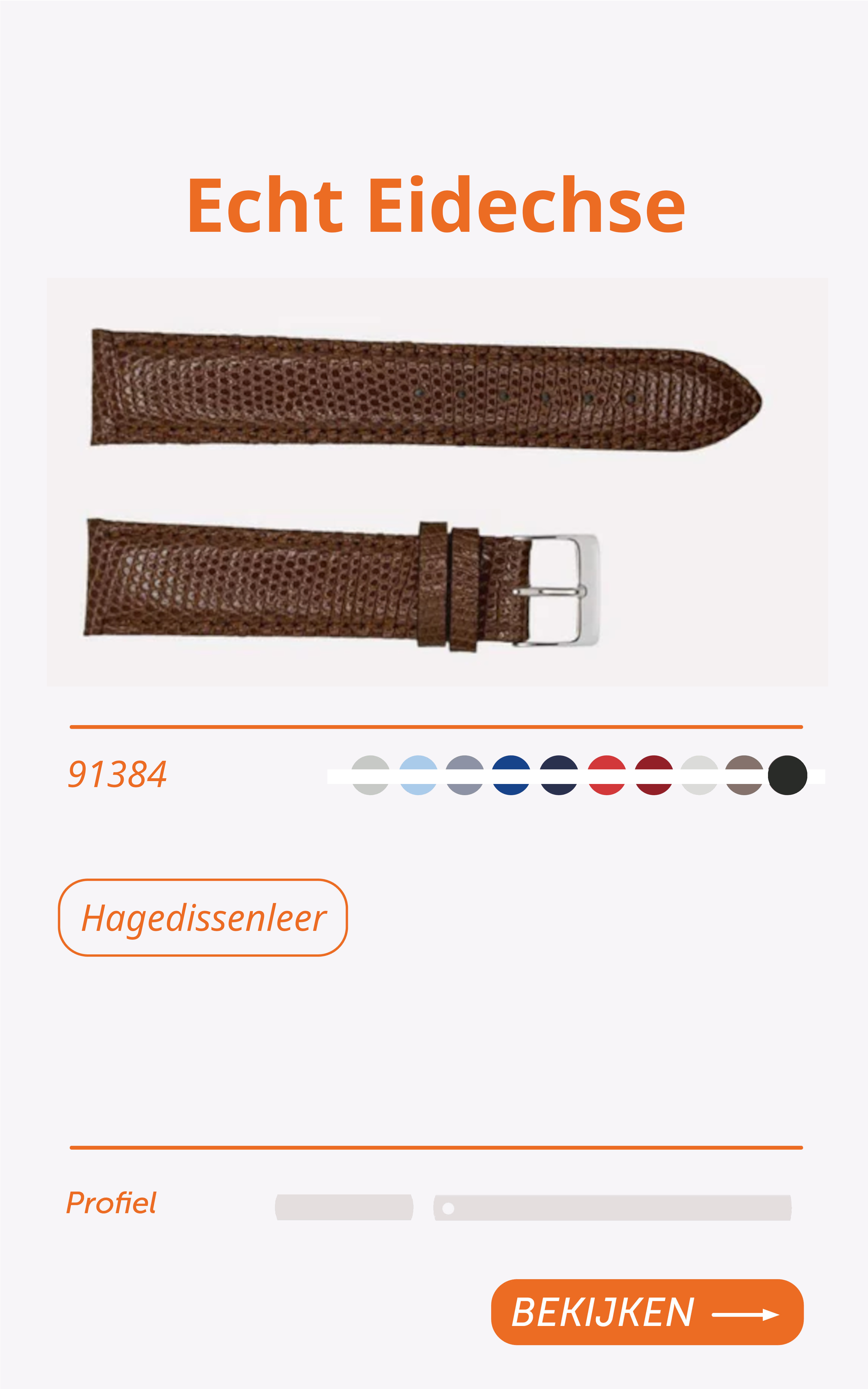 91384-Echt-Eidechse