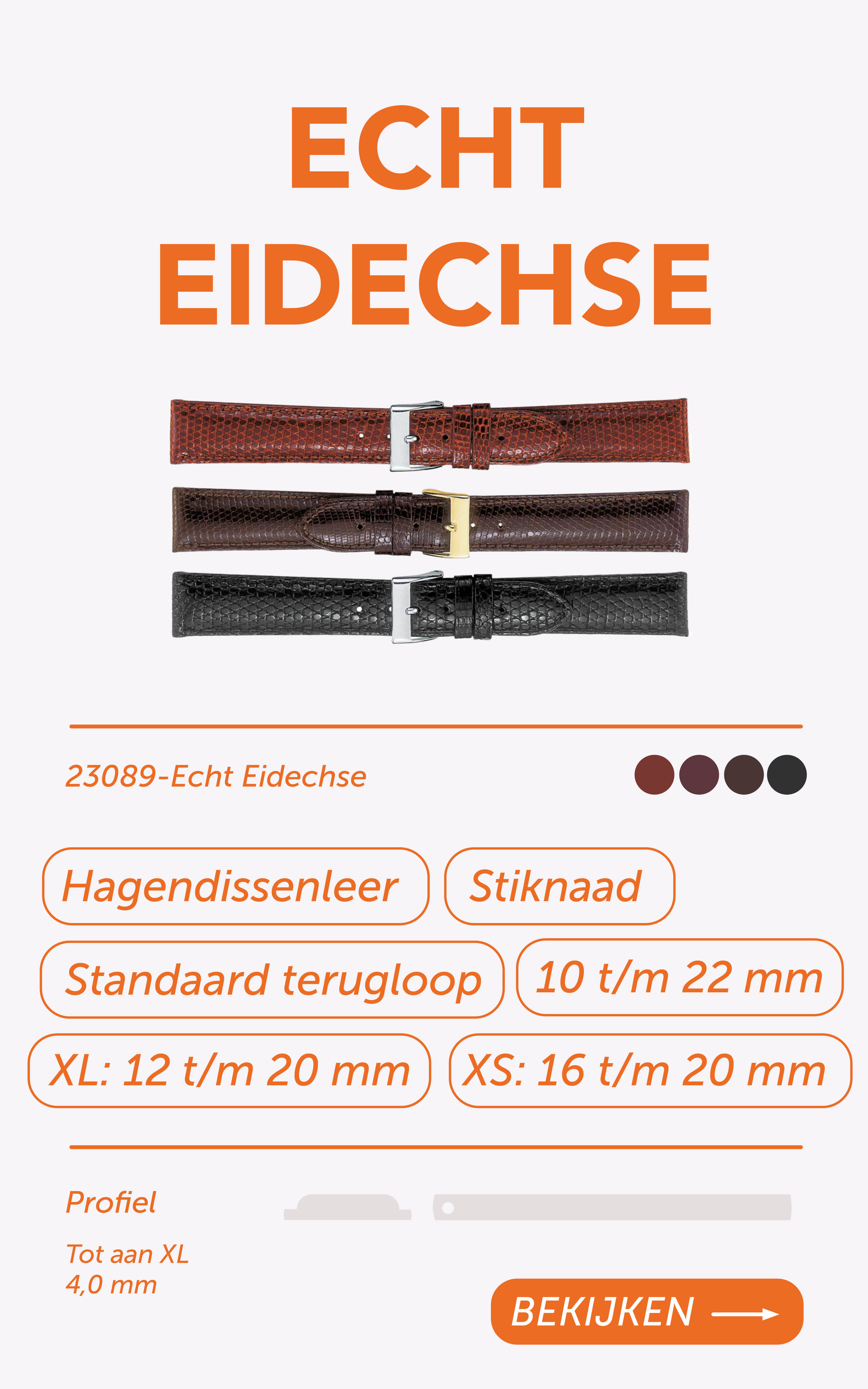 23089-Echt-Eidechse